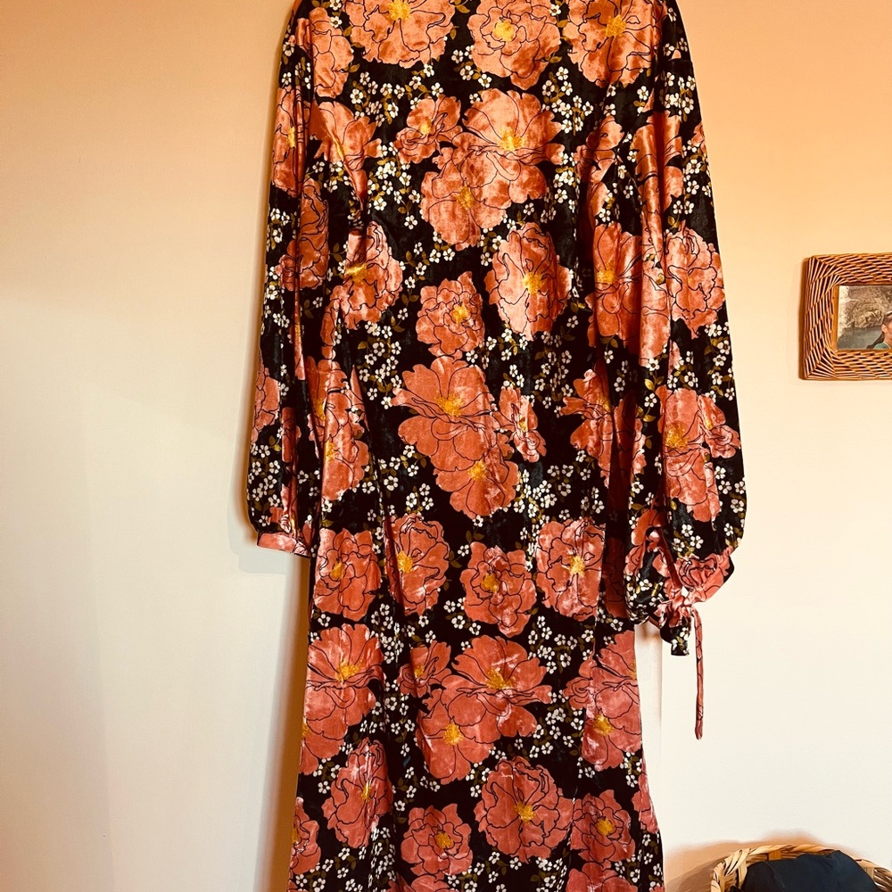 Zara Floral Long Sleeve Dress in Pink and Black Velvet Balloon Sleeves - Picture 5 of 5